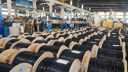 上海浦東電纜集團(tuán)全球化5G裝備專用電線電纜項目投產(chǎn)