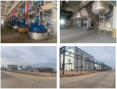 惡唑酰草胺、滅草松等原藥項目建成投產(chǎn),寧夏藍田已投資超過3.2億元